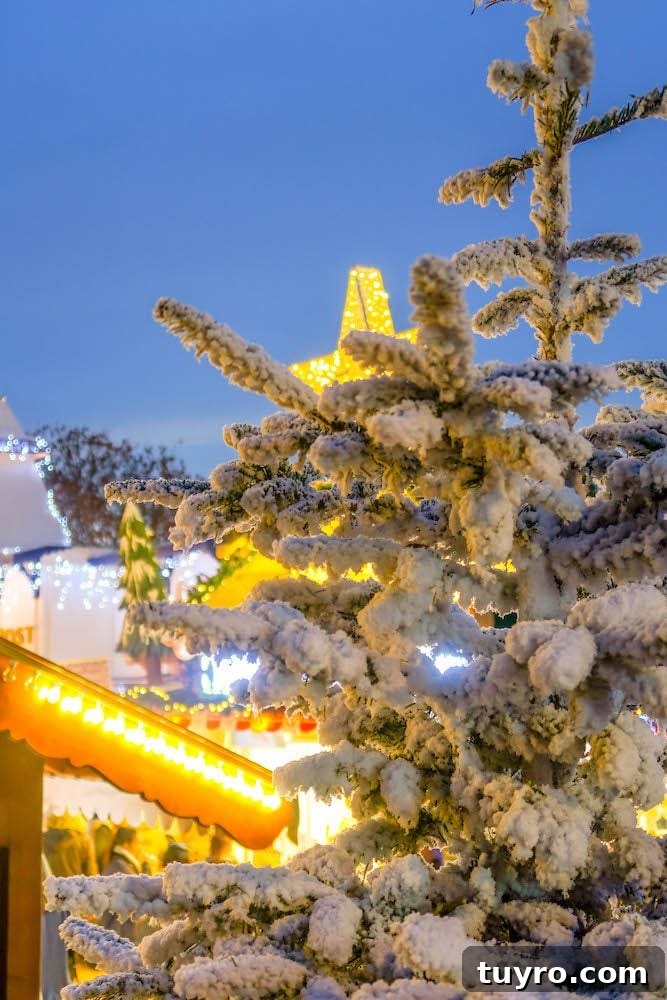 Sweet Candied Pistachios Recipe for Snacks & Gifts 4 picture of christmas market in france