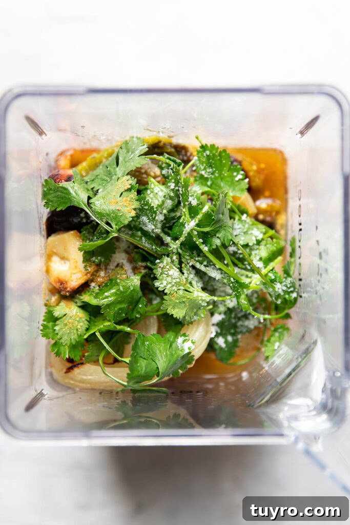 Smoky Roasted Tomatillo Salsa Verde Recipe 10 roasted vegetables in a blender.