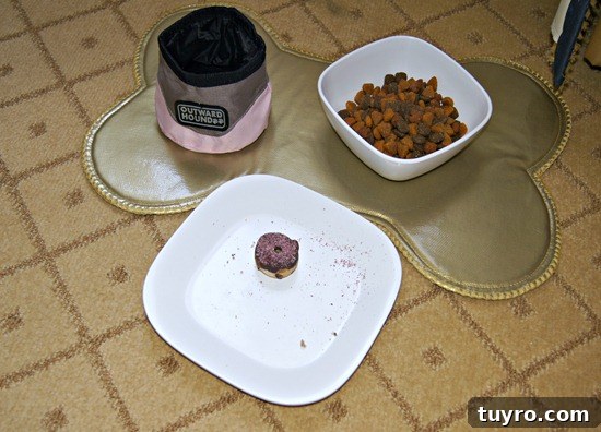 Langham Pasadena Doggie Room Service Langham Pasadena Doggie Room Service
