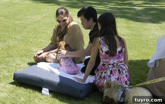 Langham Pasadena Doggie Massages Langham Pasadena Doggie Massages