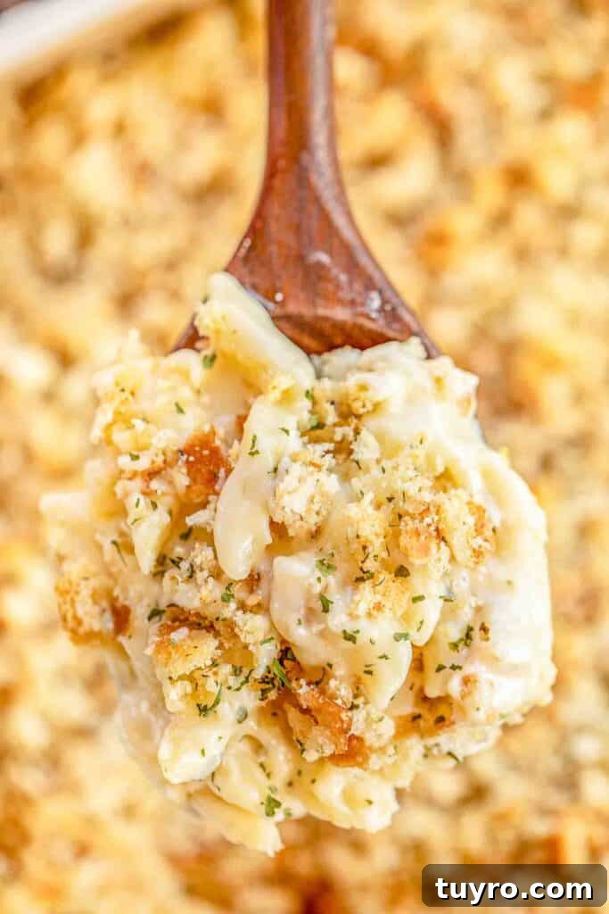 Creamy Baked Mac and Cheese Recipe 2 Baked mac and cheese casserole with golden breadcrumb topping