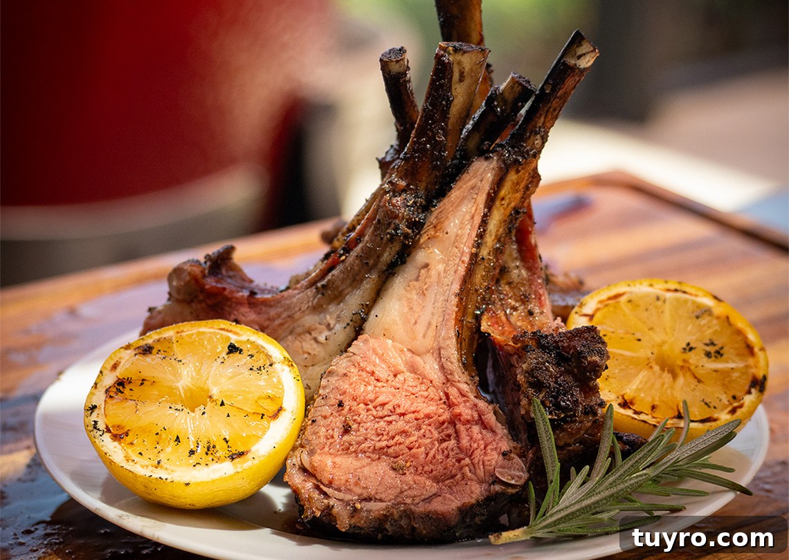 Grilled Rack of Lamb on a Kamado Joe: Tender, Smoky Recipe 2 Grilled Lamb Chops