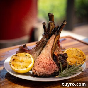 Grilled Lamb Chops