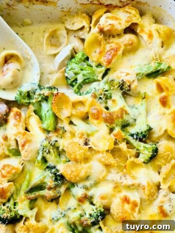 A tray of creamy pasta bake