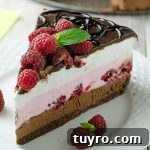No Bake Chocolate Raspberry Cheesecake - Featured Image