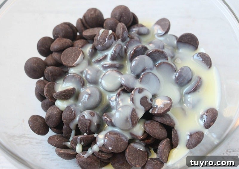 hot chocolate fudge
