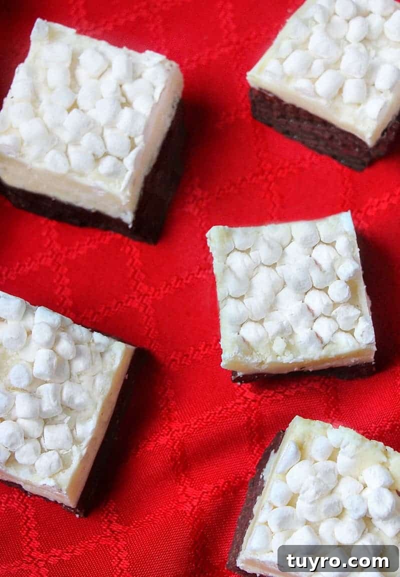 hot chocolate fudge