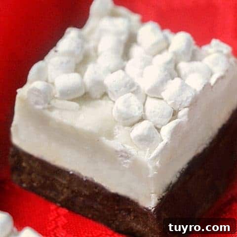 hot chocolate fudge