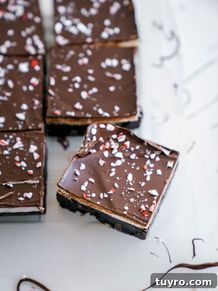 Decadent Christmas Peppermint Bark Brownies Recipe 2 Peppermint Bark Brownies