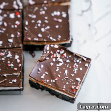 Decadent Christmas Peppermint Bark Brownies Recipe 13 Peppermint Bark Brownies