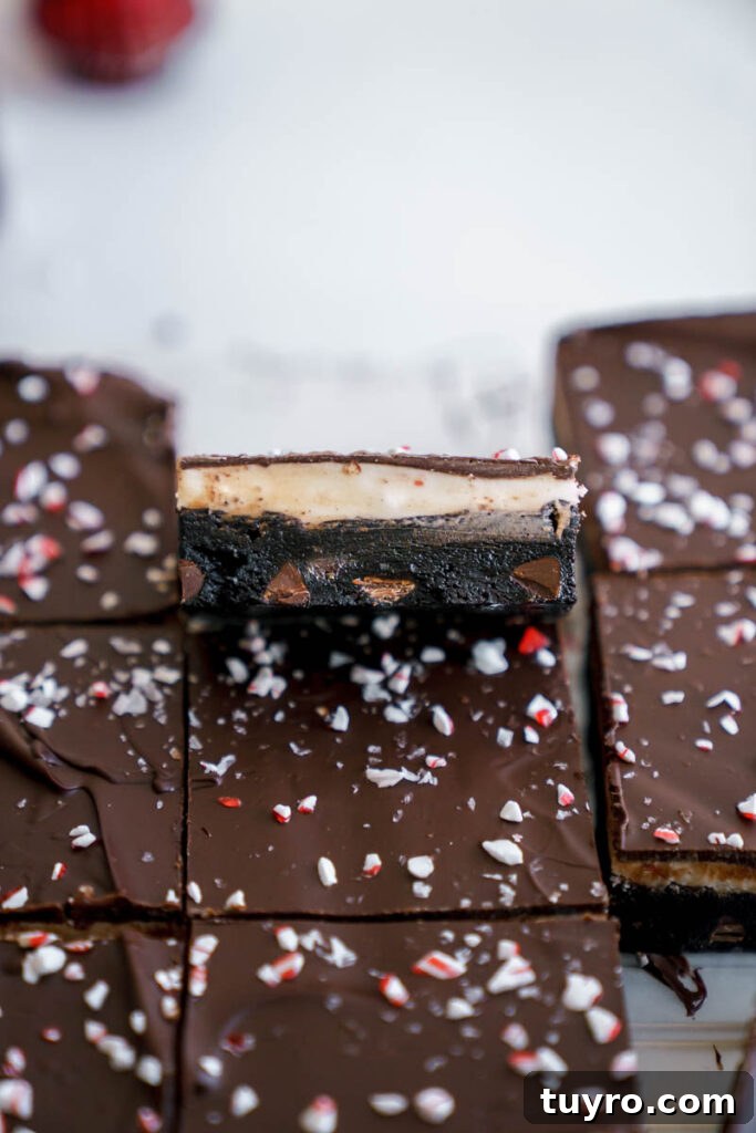 Decadent Christmas Peppermint Bark Brownies Recipe 5 Brownies on a plate
