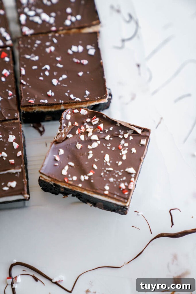 Decadent Christmas Peppermint Bark Brownies Recipe 6 Batter in bowl