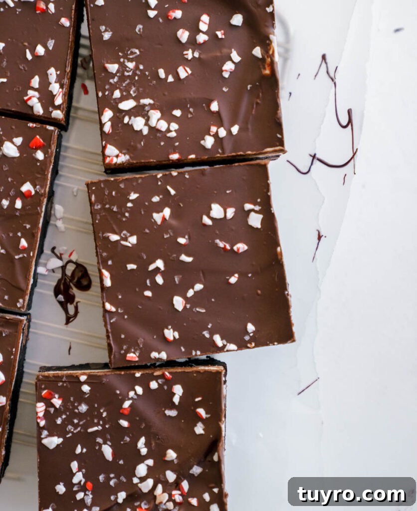 Decadent Christmas Peppermint Bark Brownies Recipe 7 Crushed candy canes