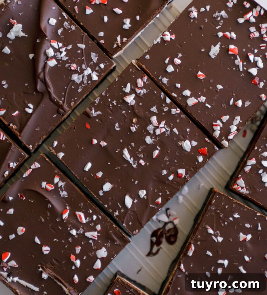 Decadent Christmas Peppermint Bark Brownies Recipe 9 Finished brownies