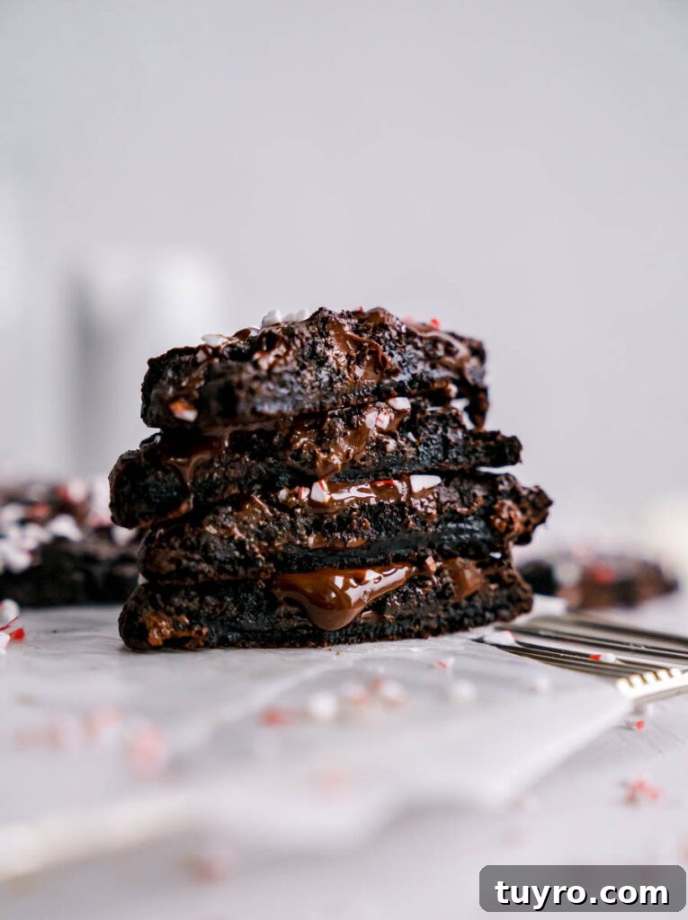 Decadent Christmas Peppermint Bark Brownies Recipe 10 Peppermint cookies