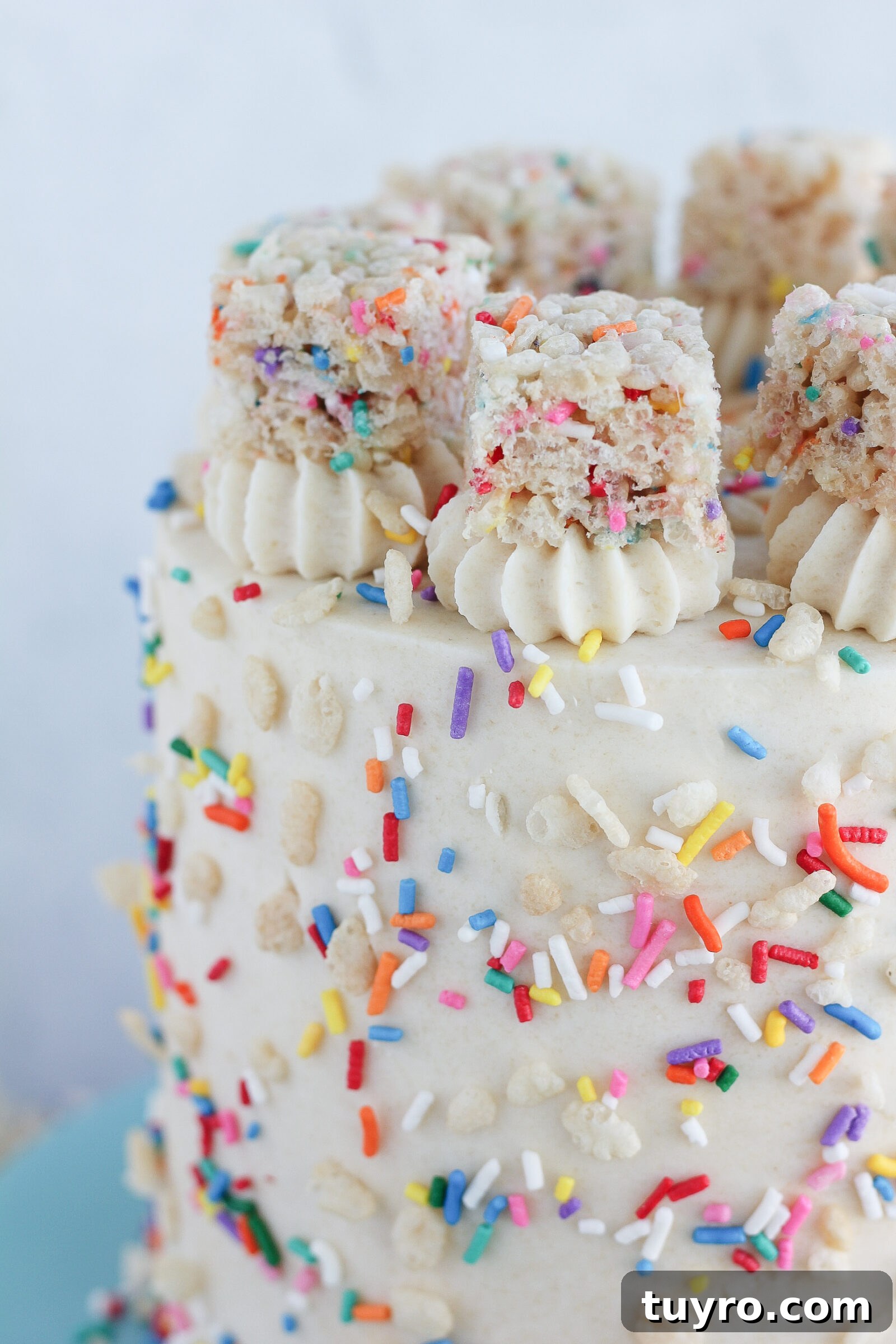 Funfetti Rice Krispie Treat Cake Recipe 5 img 6604 4