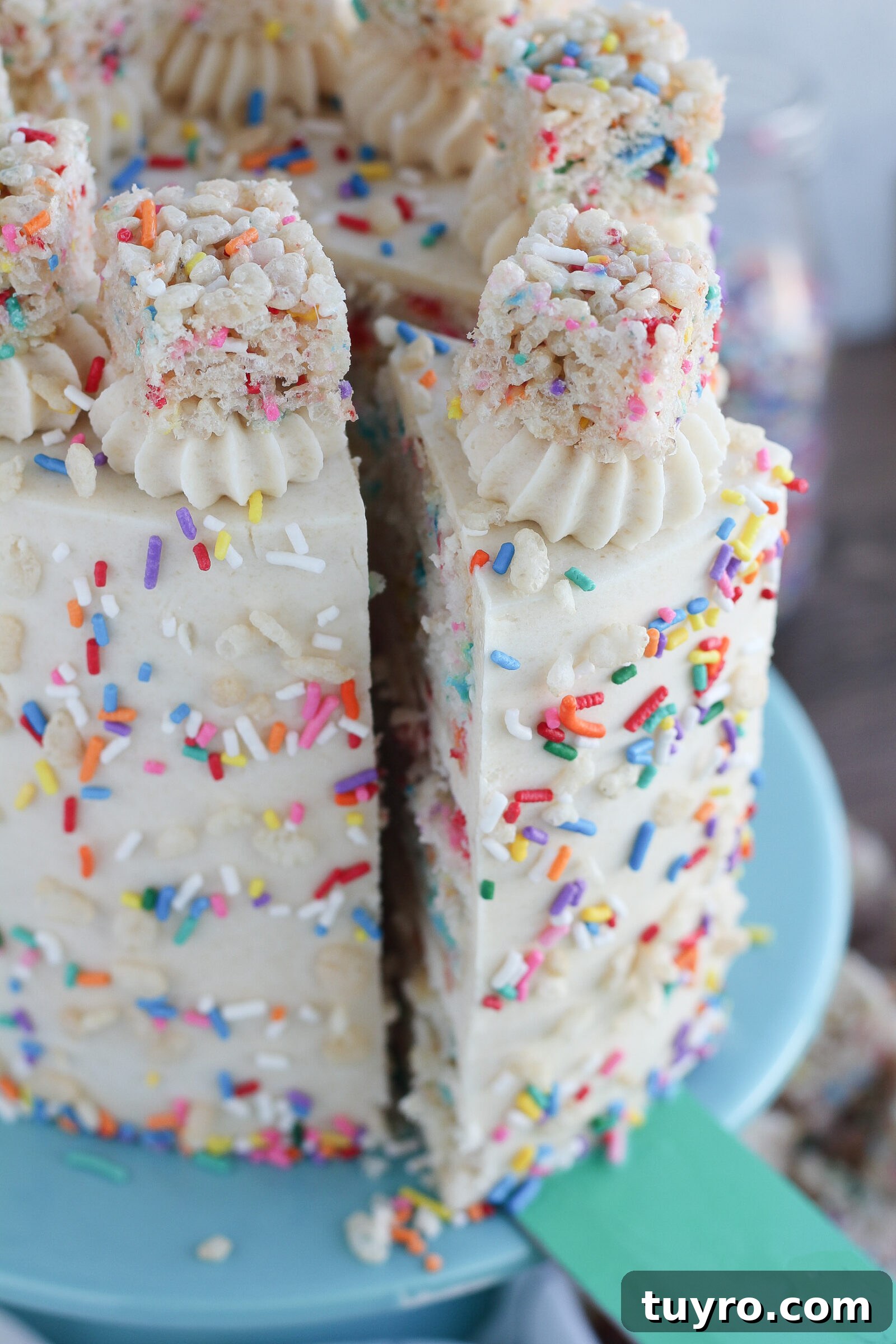 Funfetti Rice Krispie Treat Cake Recipe 6 img 6604 5