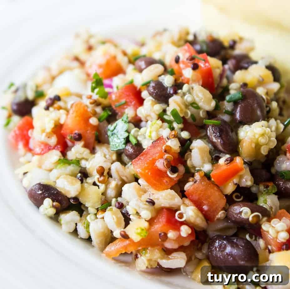 Quinoa Farro Salad