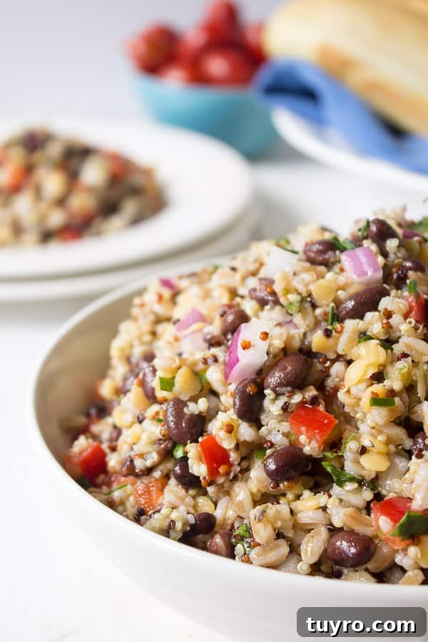 Bowl with quinoa, farro and fresh vegetables.