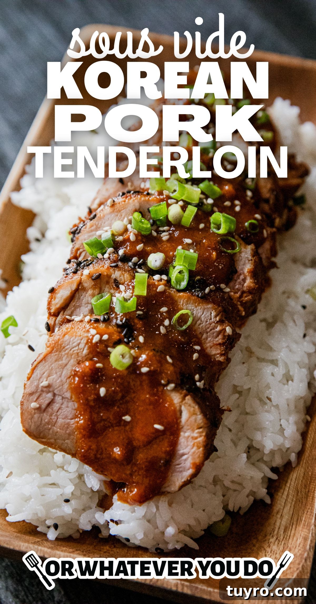Sous-Vide Korean Pork Tenderloin with Gochujang Glaze 2 Sous Vide Korean Style Pork Tenderloin