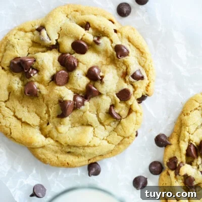 Perfect Chocolate Chip Cookie Recipe for Two — 20-Minute Treat 3 Small Batch Chocolate Chip Cookies for Two feature