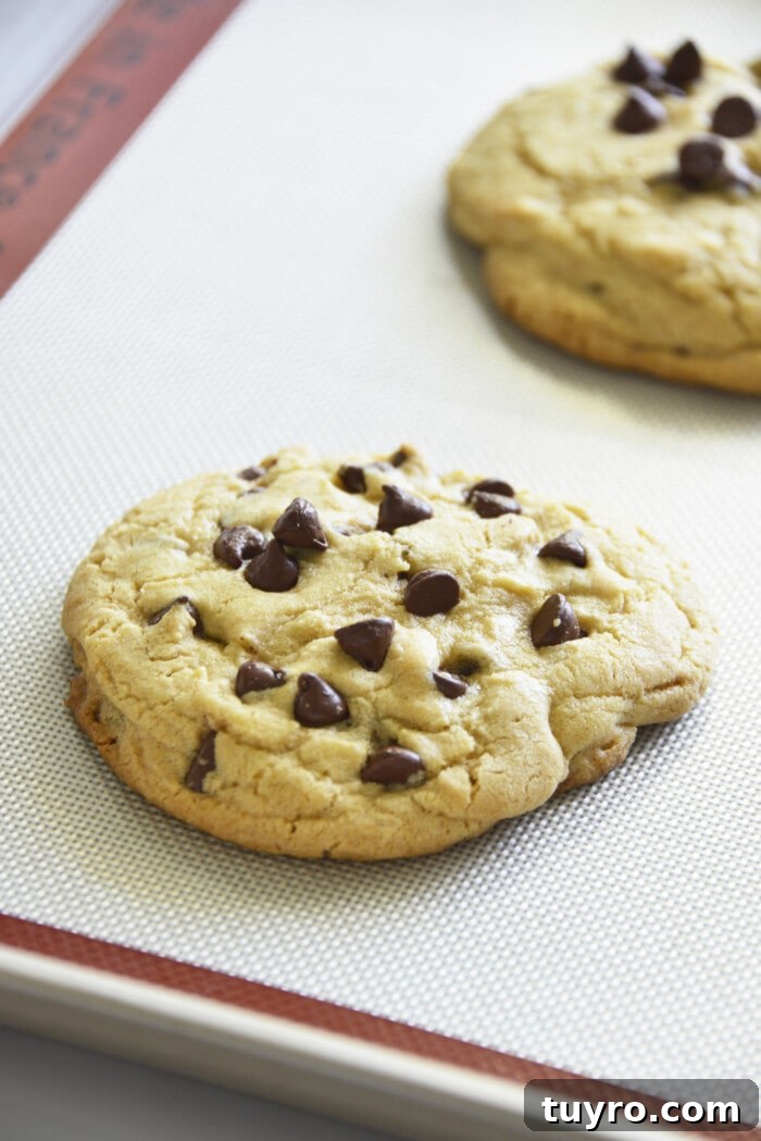 These Chocolate Chip Cookies for Two are perfectly soft, chewy and delicious! baked chocolate chip cookie on a pan