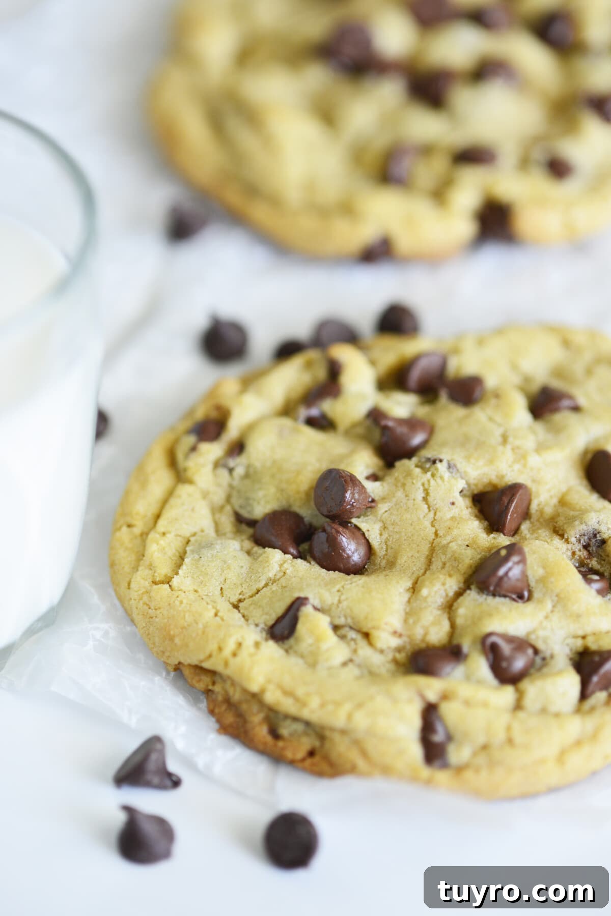 These Chocolate Chip Cookies for Two are perfectly soft, chewy and delicious! Small Batch Chocolate Chip Cookies for Two close up