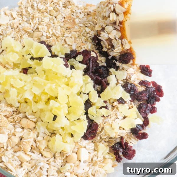 Pineapple Macadamia Granola Bars Recipe 5 oats, wheat germ, pineapple and cranberries.