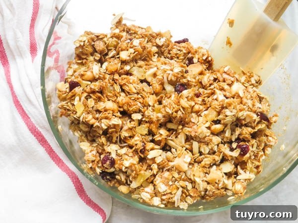 Pineapple Macadamia Granola Bars Recipe 6 granola bar ingredients