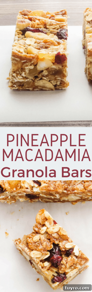 Pineapple Macadamia Granola Bars Recipe 10 Love granola bars? Pineapple Macadamia Granola Bars are a deliciously tropical treat with whole oats, wheat germ, coconut, macadamia nuts, pineapple, and cranberries.