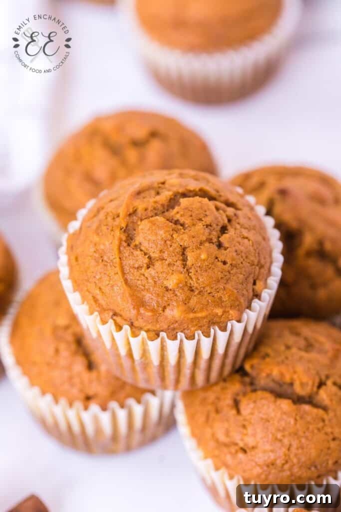 Pumpkin Muffins Recipe Pumpkin Muffins Recipe
