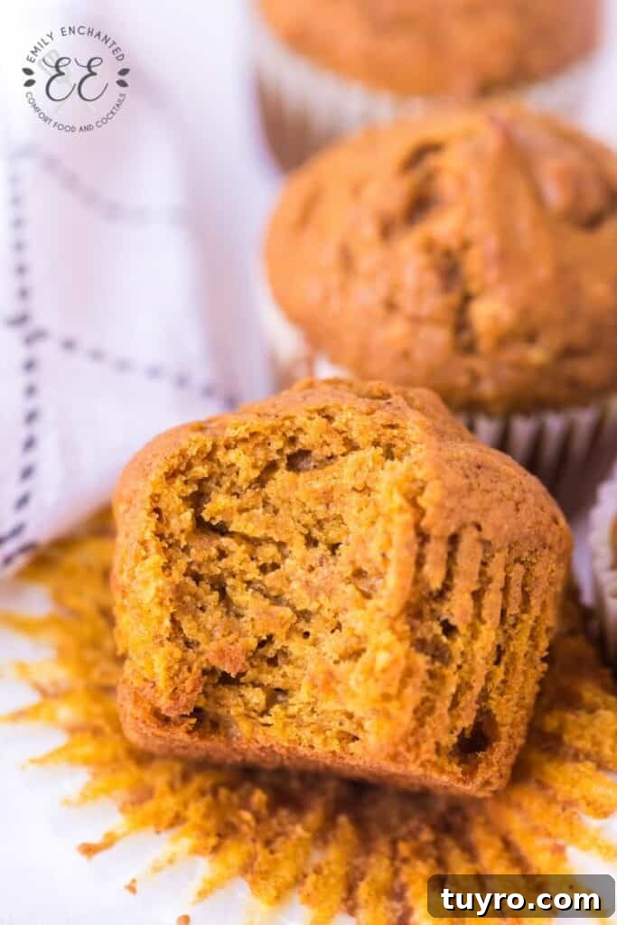 Pumpkin Muffins Pumpkin Muffins