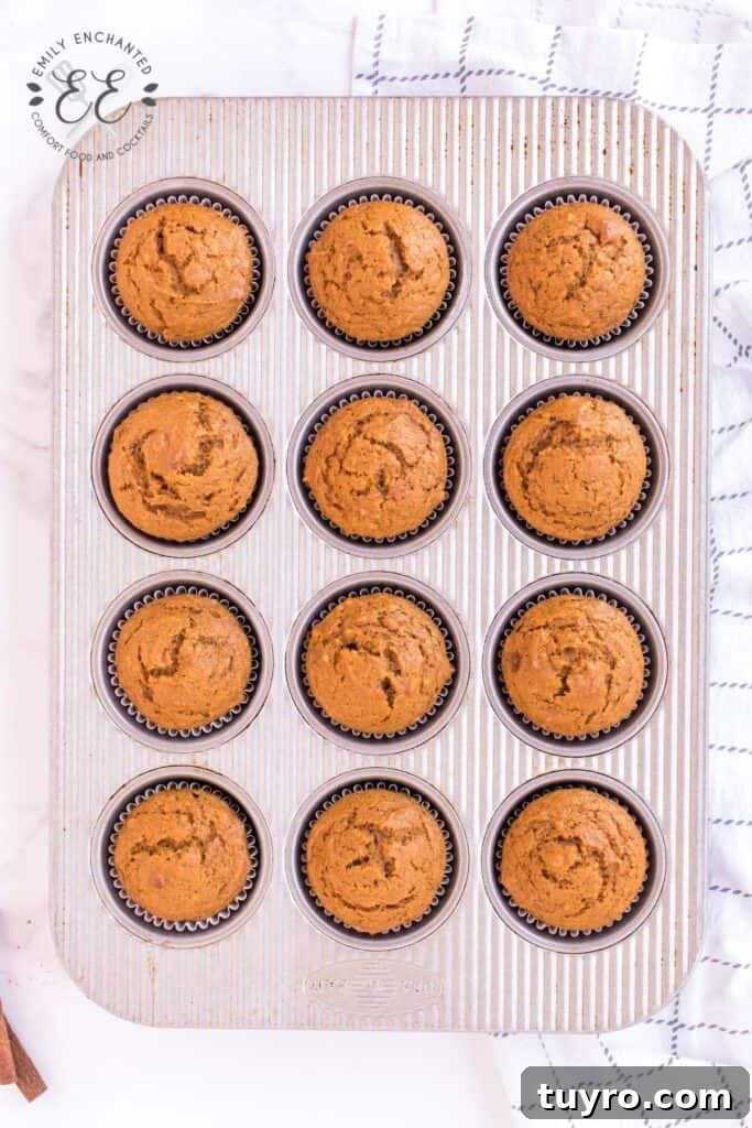 Pumpkin Spice Muffins Pumpkin Spice Muffins
