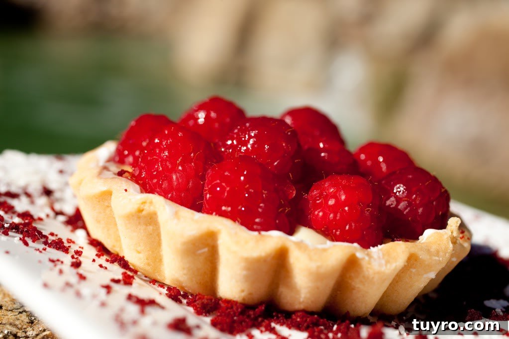 Mascarpone Tart with Fresh Raspberries and Raspberry Sauce 2 img 7154 1