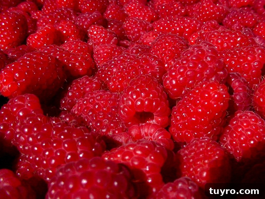 Mascarpone Tart with Fresh Raspberries and Raspberry Sauce 3 img 7154 2