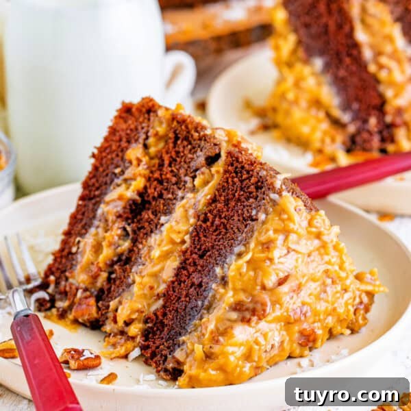 Chocolate Strawberry Cake with Rich Ganache 11 closeup of a slice of german chocolate cake on plate