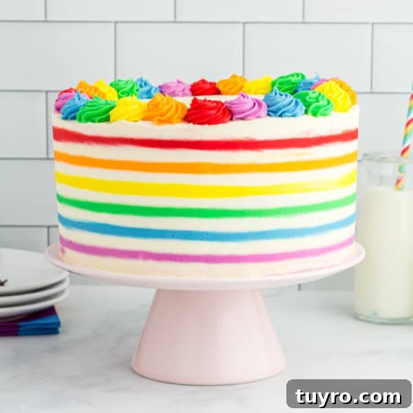 Chocolate Strawberry Cake with Rich Ganache 12 rainbow striped funfetti cake on cake stand