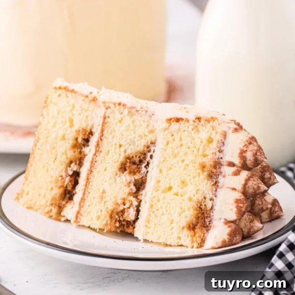 Chocolate Strawberry Cake with Rich Ganache 13 Square cropped image of a tiramisu cake slice showing coffee-soaked layers and mascarpone frosting.