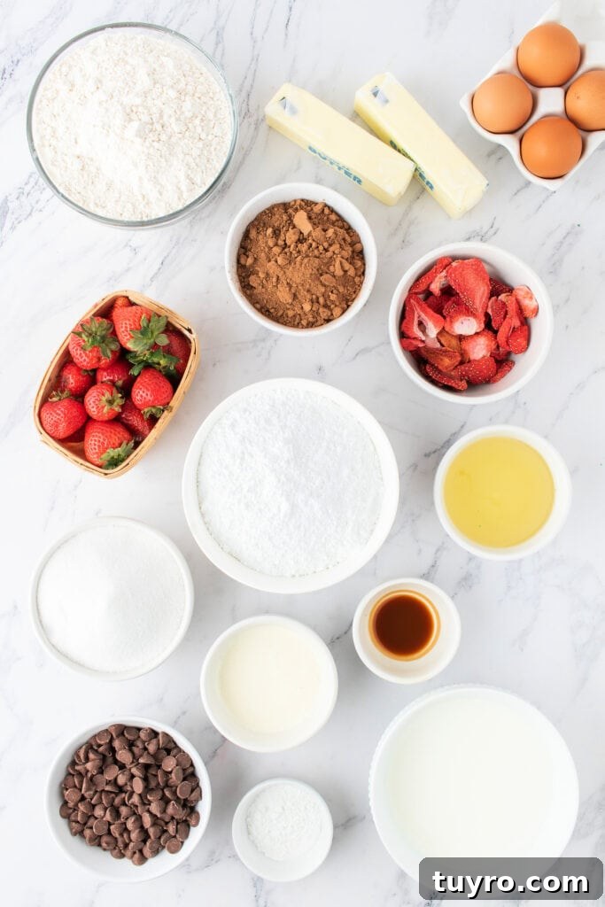 Chocolate Strawberry Cake with Rich Ganache 3 Overhead view of measured ingredients for chocolate strawberry cake on a marble countertop, including fresh and freeze-dried strawberries.