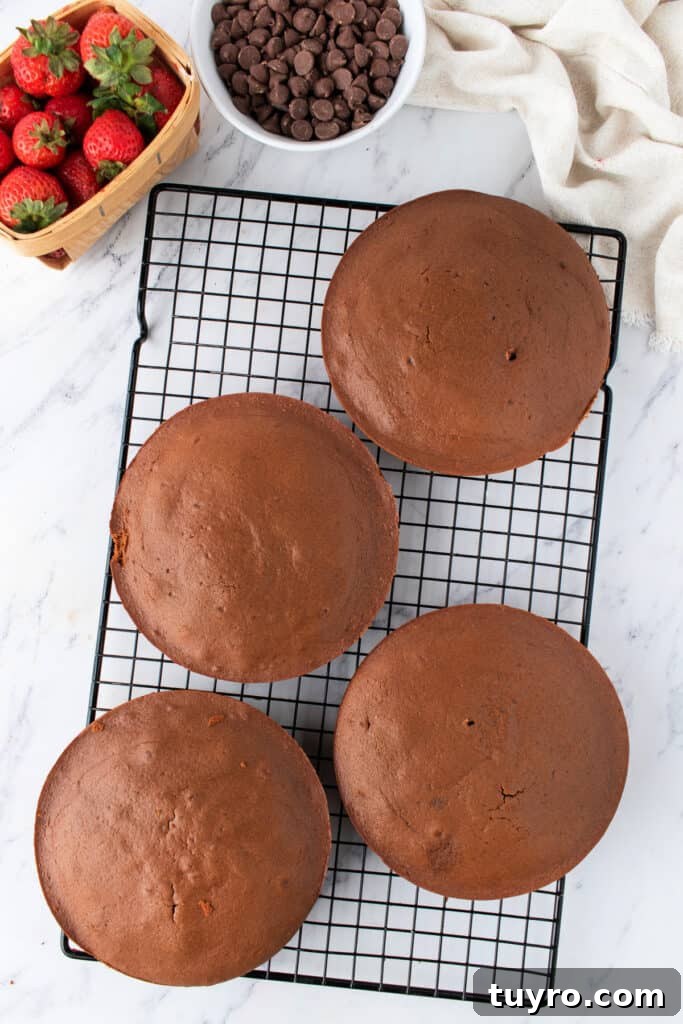 Chocolate Strawberry Cake with Rich Ganache 6 Four baked chocolate cake layers cooling on a wire rack, with fresh strawberries and chocolate chips in the background.