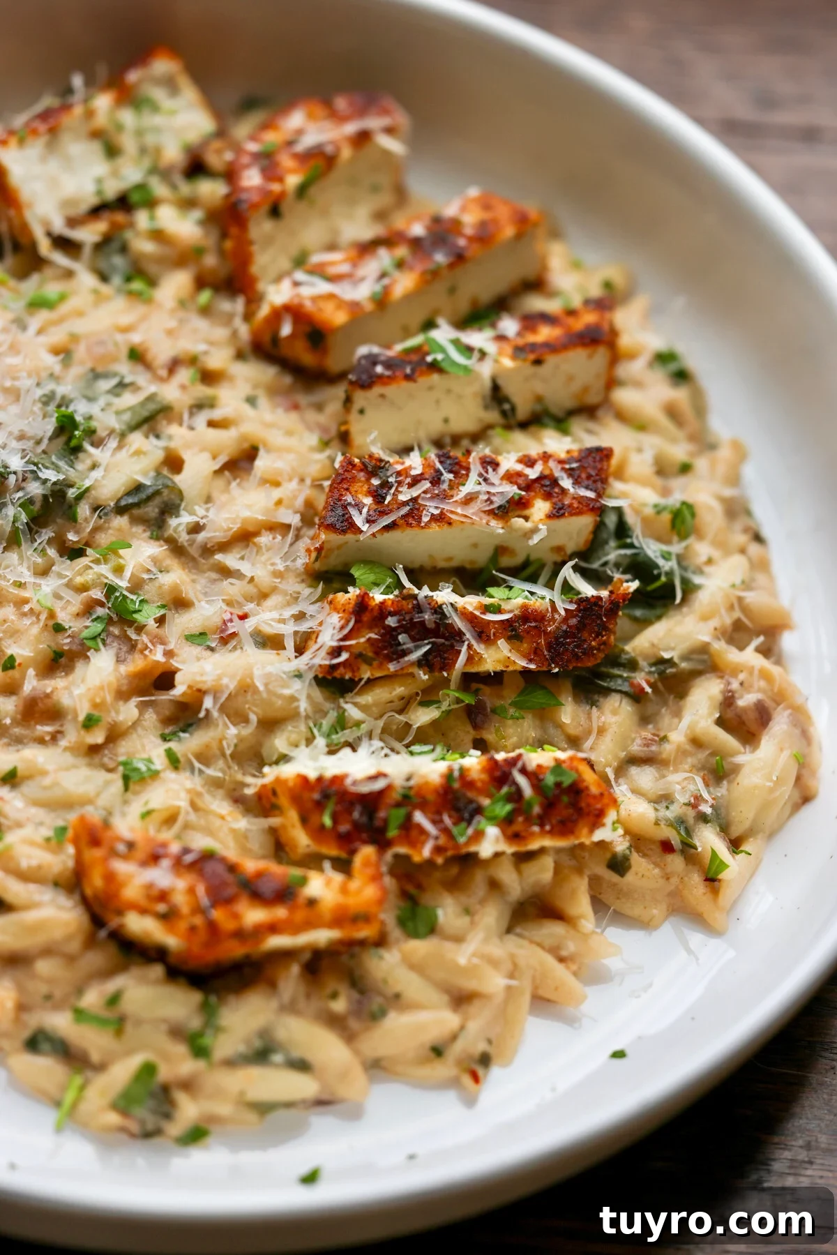 Garlic Parmesan Orzo with Pan-Seared Paprika Tofu 3 img 73389 2