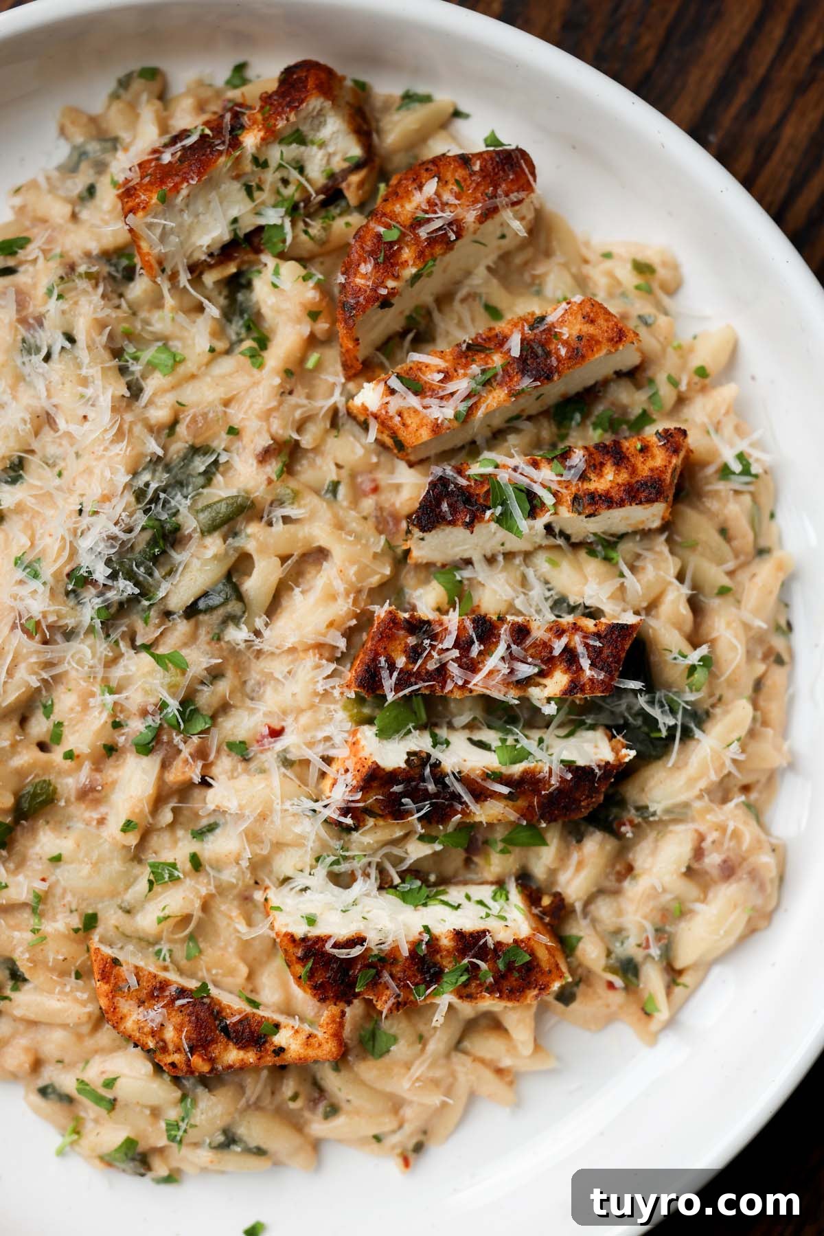 Garlic Parmesan Orzo with Pan-Seared Paprika Tofu 10 garlic parmesan orzo on a plate with the crispy tofu