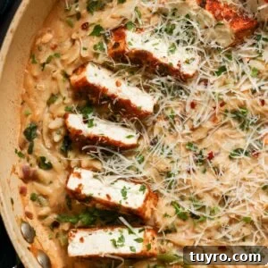 Garlic Parmesan Orzo with Pan-Seared Paprika Tofu 6 close-up of garlic parmesan orzo in the pan with the crispy tofu