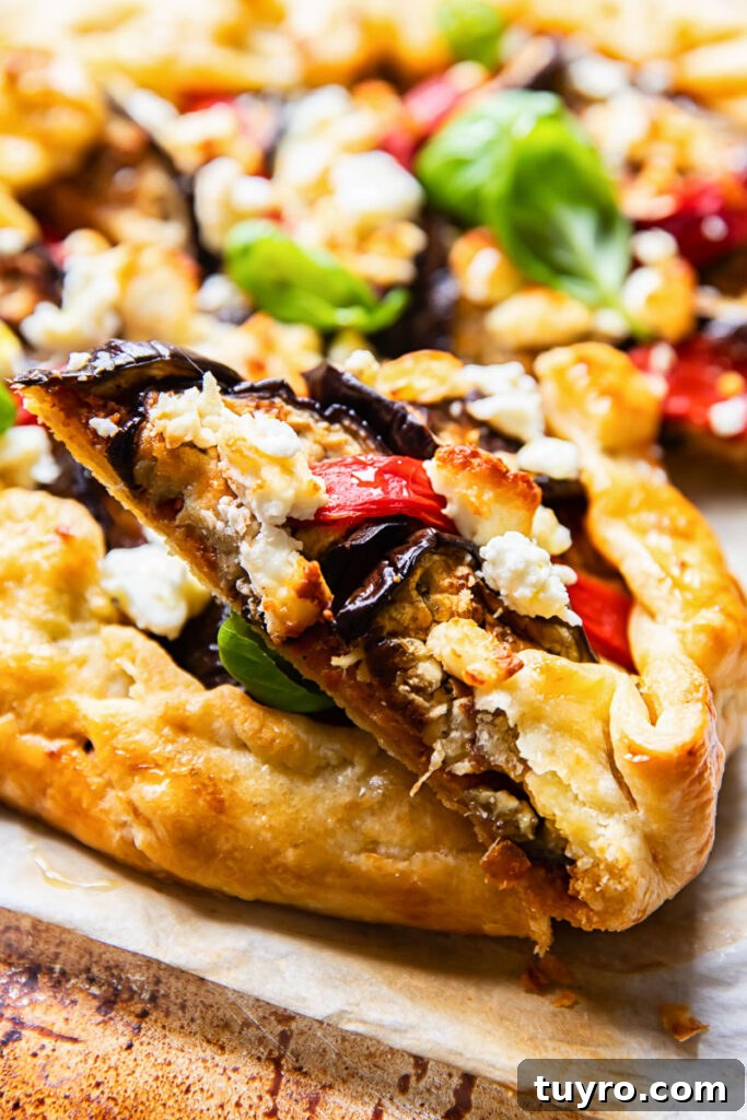 Grilled Eggplant and Roasted Red Pepper Galette 5 piece of galette from the side