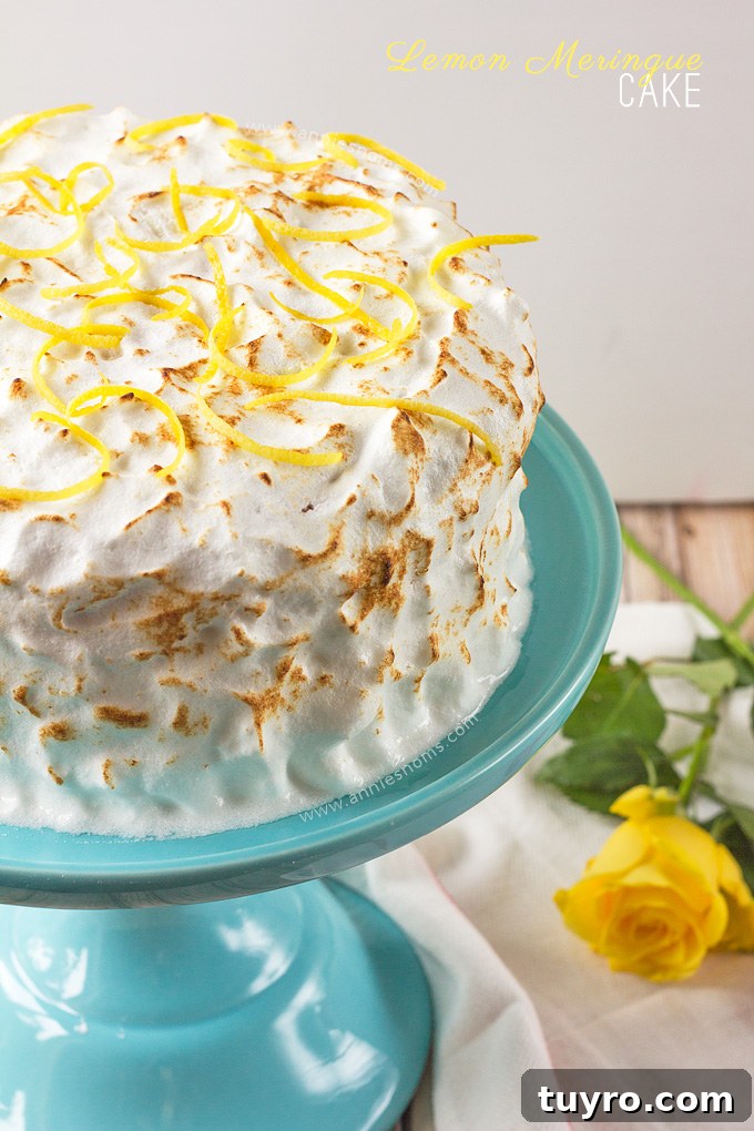 Lemon Meringue Cake Lemon Meringue Cake