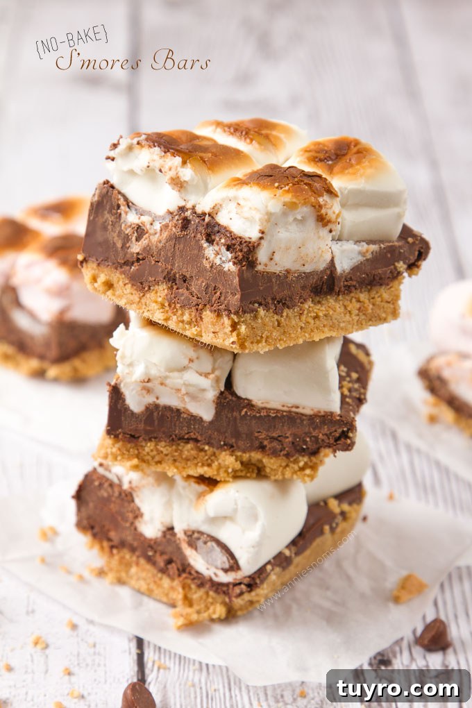 No-Bake S'mores Bars No-Bake S'mores Bars