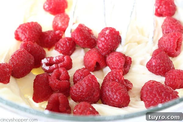 Creamy Raspberry Fruit Dip Recipe for Parties and Snacks 9 img 76476 8