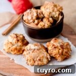 Crispy Air Fryer Apple Fritters Recipe 11 Air fryer apple fritters
