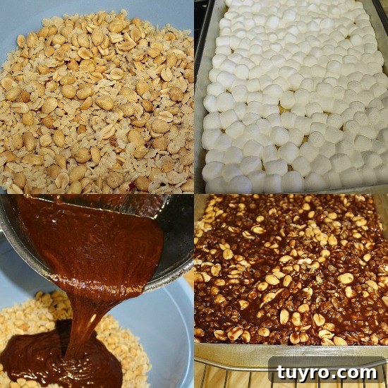 Salted Nut Bars are both sweet and salty. Mmm! Four pictures of different layers.