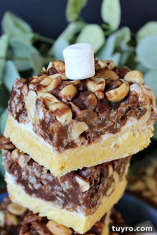 Sink your teeth into deliciousness! Salted Nut Bars